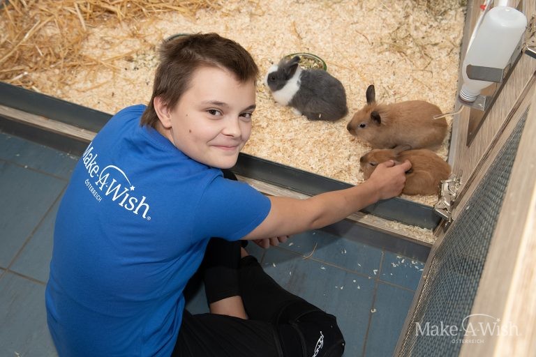 Ein Herz für Tiere