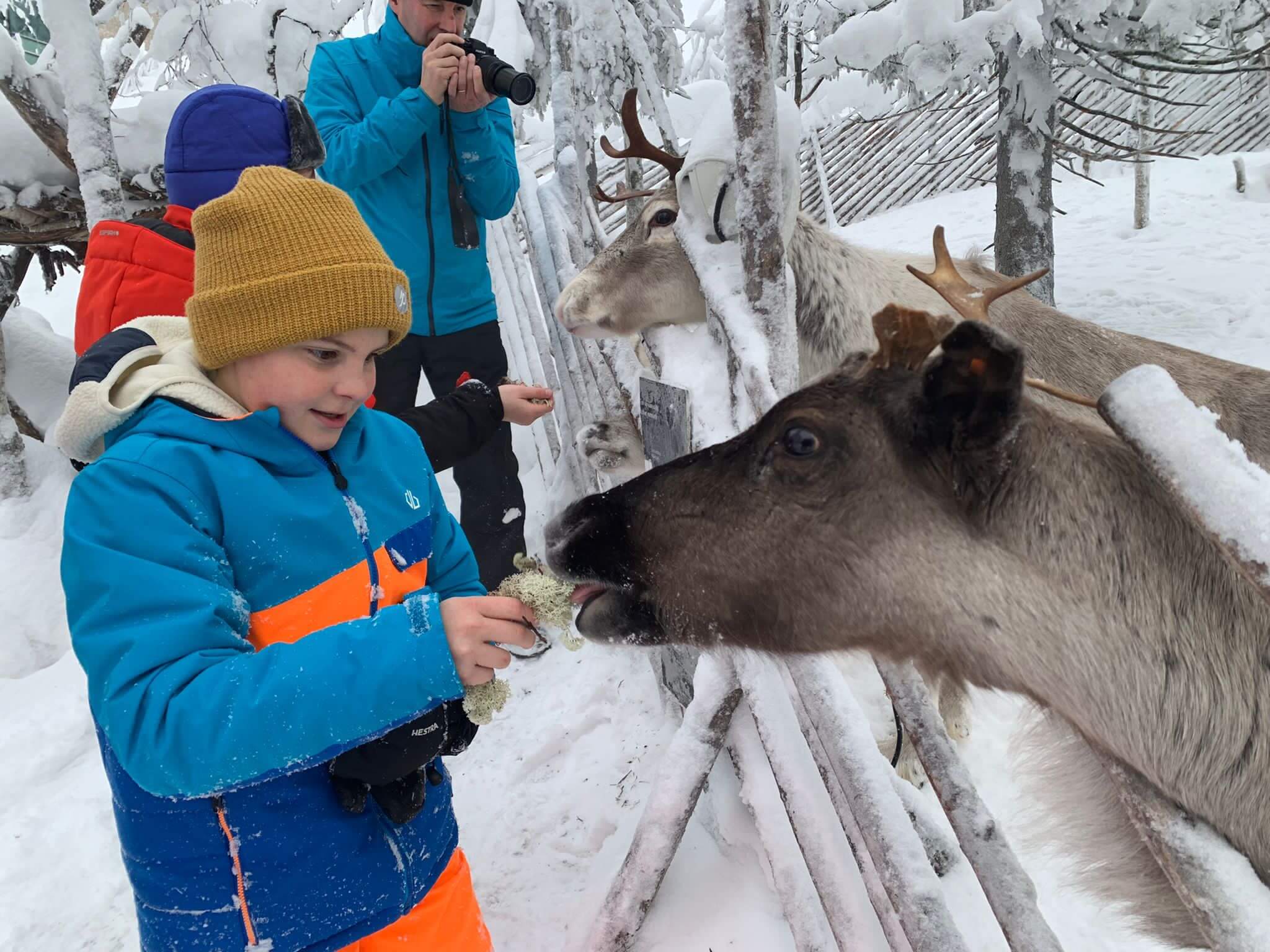 make-a-wish-oesterreich-reisen-karl-nordlichter