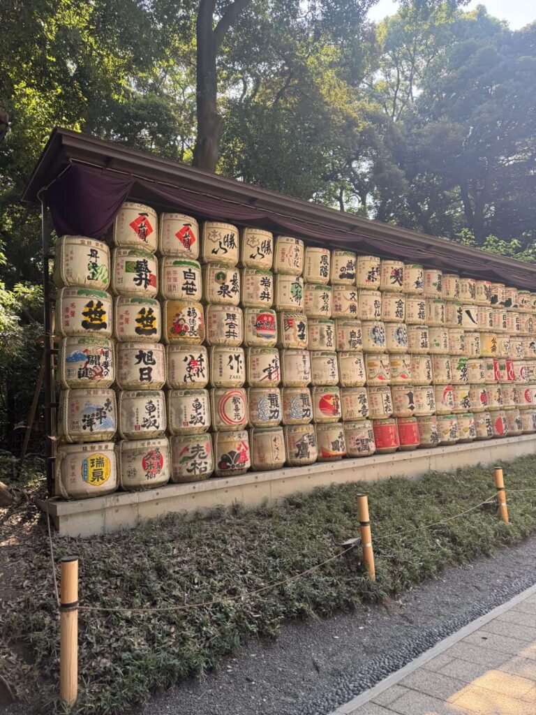 make-a-wish-oesterreich_erfuellte-wuensche_Maximilian (3)