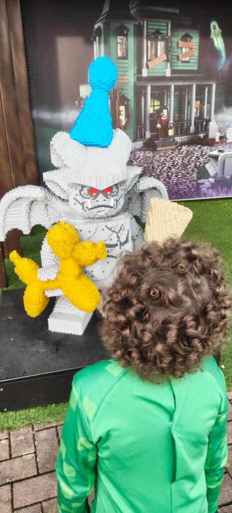 make-a-wish-oesterreich_erfuellte-wuensche_Simon (1)